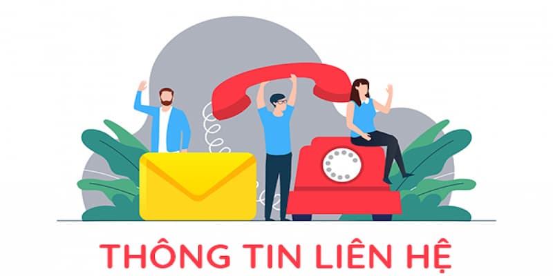 Các hình thức liên hệ phổ biến